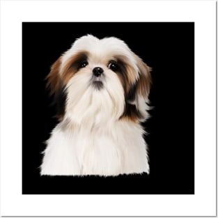 Shih tzu Dog Posters and Art